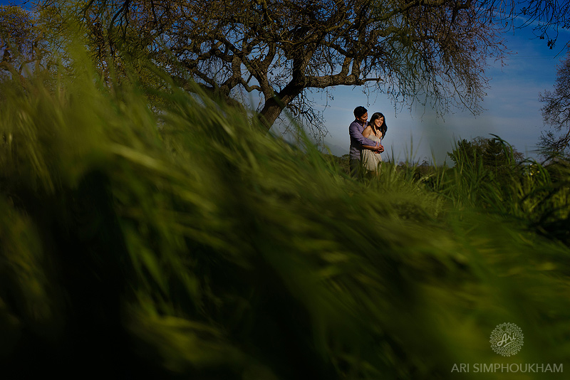 Bridlewood Winery  Wedding Photographer _0004