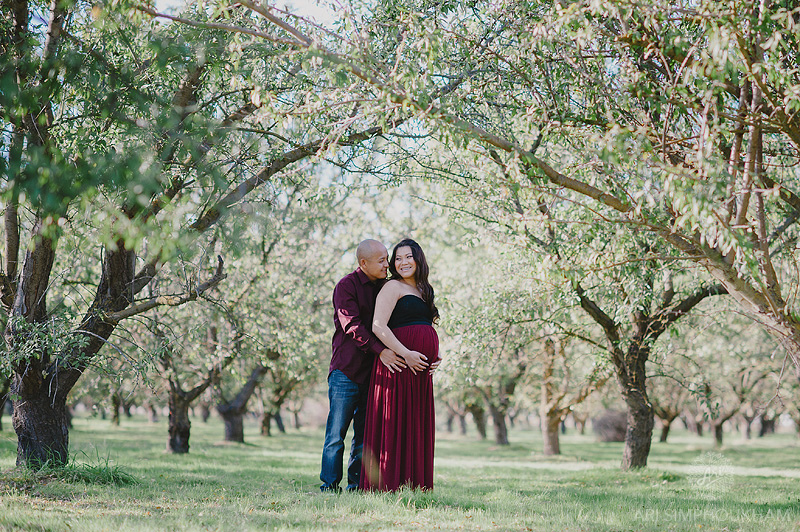 Bay Area Maternity Photographer