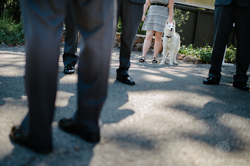 Marin Art and Garden Center Wedding _0006